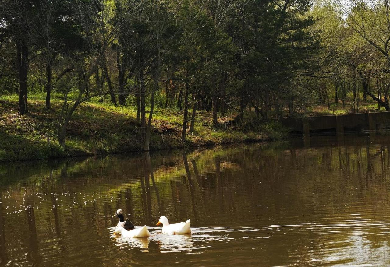 أوكلاهوما سيتي The Monastery At Forest Lake المظهر الخارجي الصورة