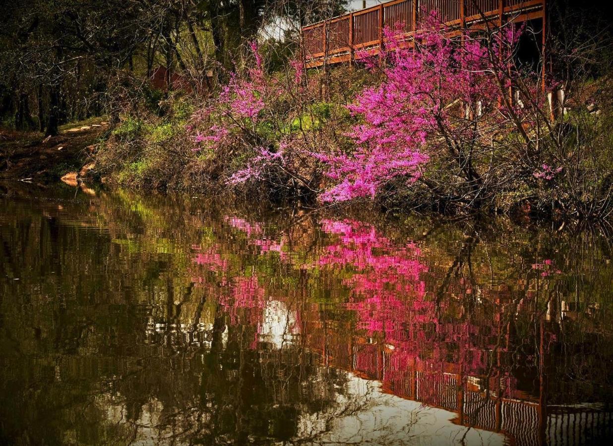 أوكلاهوما سيتي The Monastery At Forest Lake المظهر الخارجي الصورة